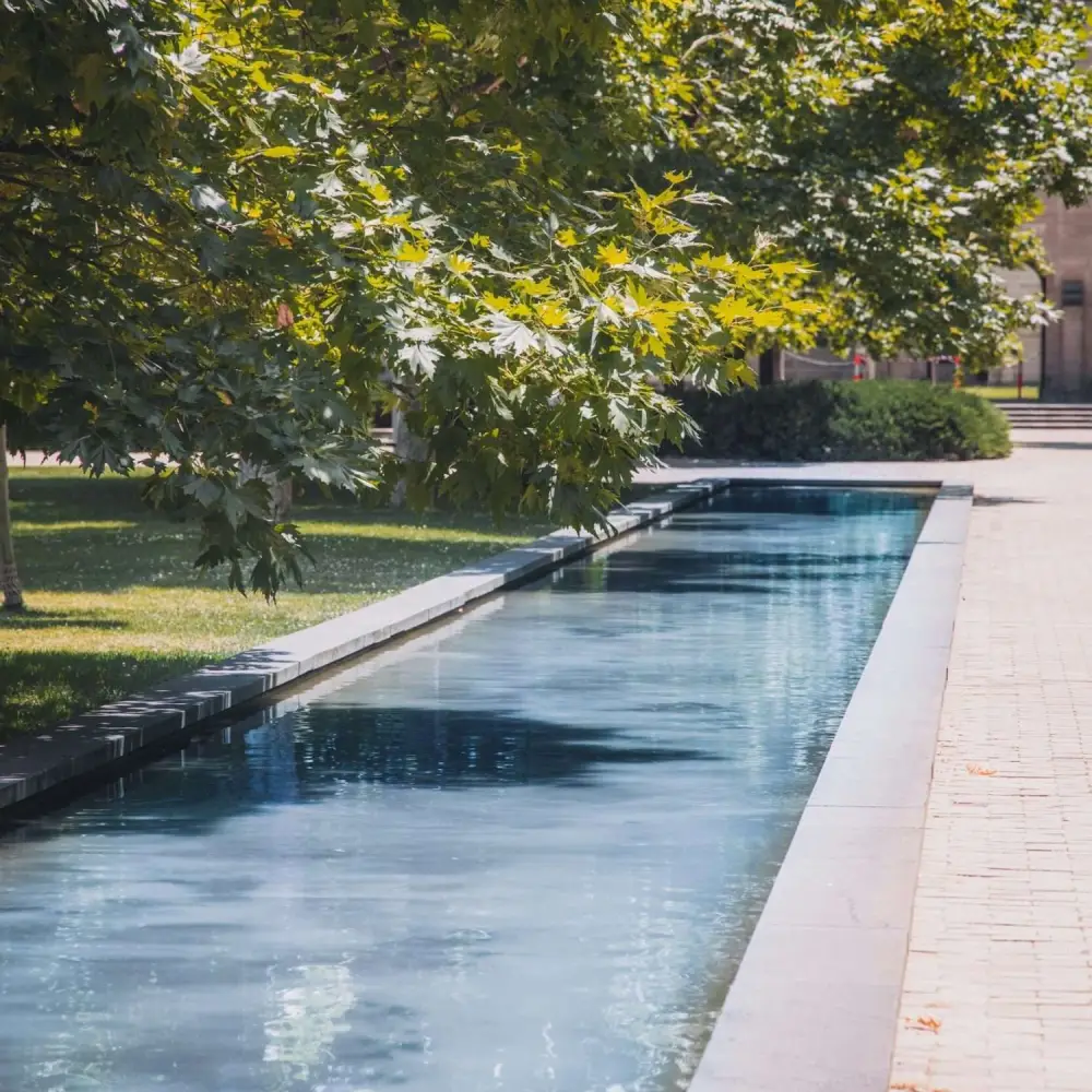Contemporary Landscape Design