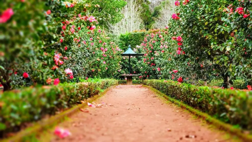 English Cottage Gardens