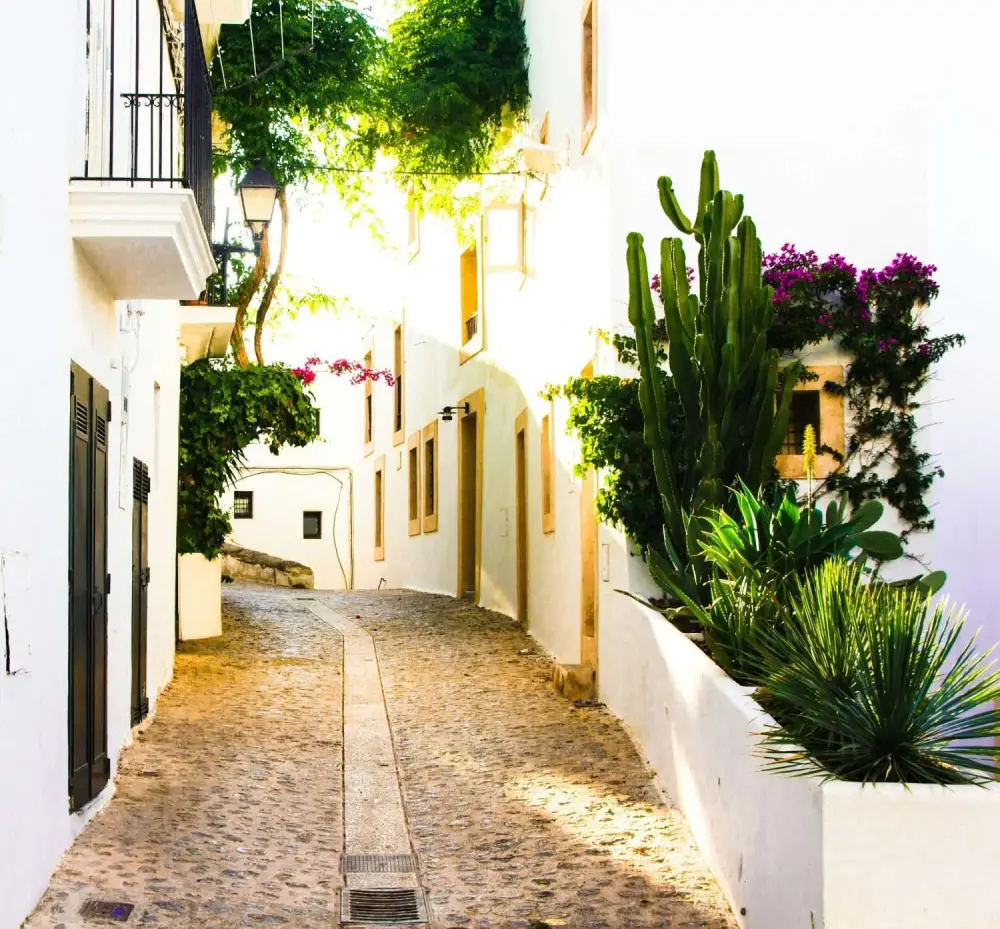 Mediterranean Gardens