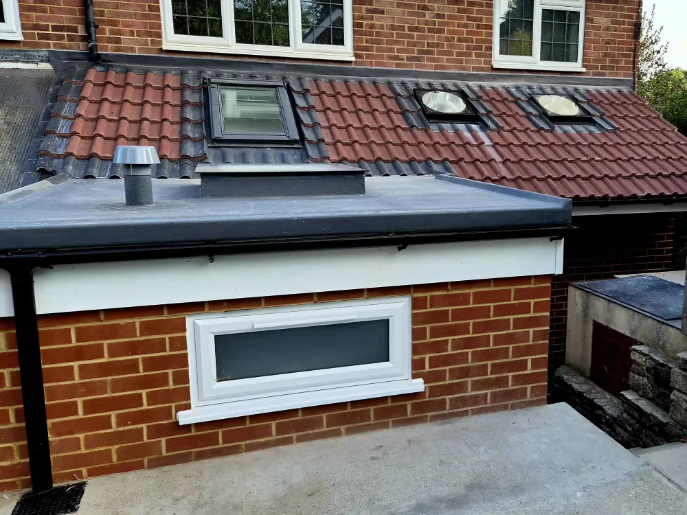 Single-Storey Rear Extension and Renovation